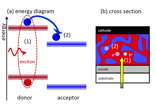 Energiediagramm mit Erzeugung von Exzitonen und Spaltung in ein Elektron-Lochpaar sowie Querschnitt einer Bulk-Heterostruktursolarzelle