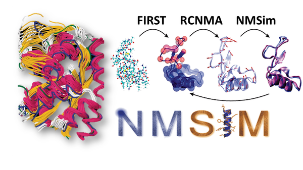 RCMNA/NMSim