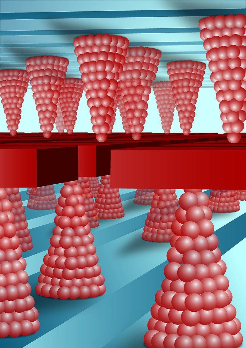 CRS-Struktur mit Nanometer-Auflösung